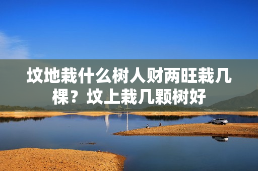 坟地栽什么树人财两旺栽几棵？坟上栽几颗树好