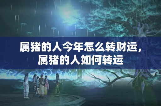 属猪的人今年怎么转财运，属猪的人如何转运