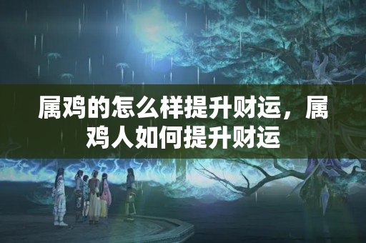 属鸡的怎么样提升财运，属鸡人如何提升财运