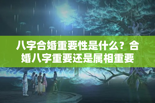 八字合婚重要性是什么？合婚八字重要还是属相重要