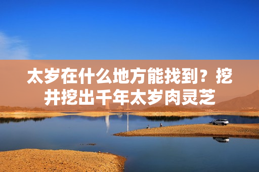 太岁在什么地方能找到？挖井挖出千年太岁肉灵芝