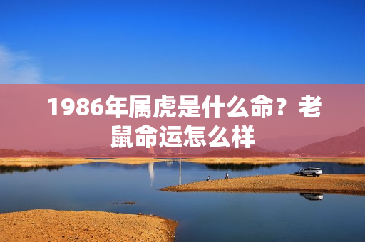 1986年属虎是什么命？老鼠命运怎么样