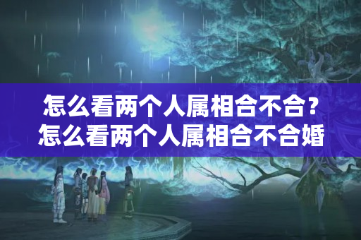 怎么看两个人属相合不合？怎么看两个人属相合不合婚