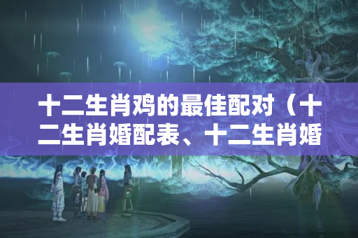 十二生肖鸡的最佳配对（十二生肖婚配表、十二生肖婚配禁忌）