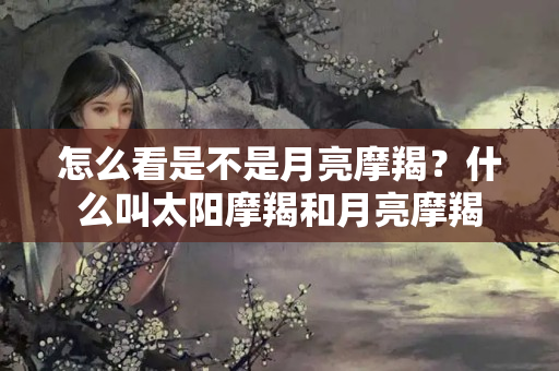 怎么看是不是月亮摩羯？什么叫太阳摩羯和月亮摩羯