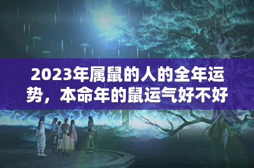 2023年属鼠的人的全年运势，本命年的鼠运气好不好