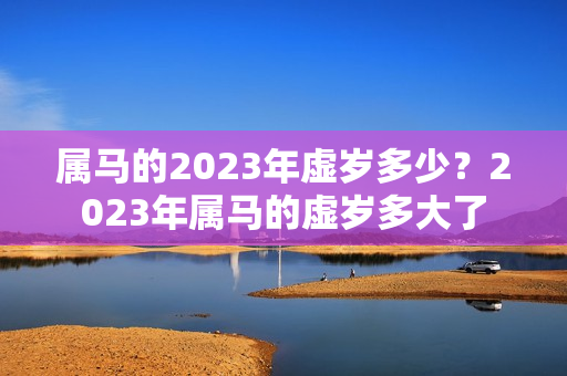 属马的2023年虚岁多少？2023年属马的虚岁多大了