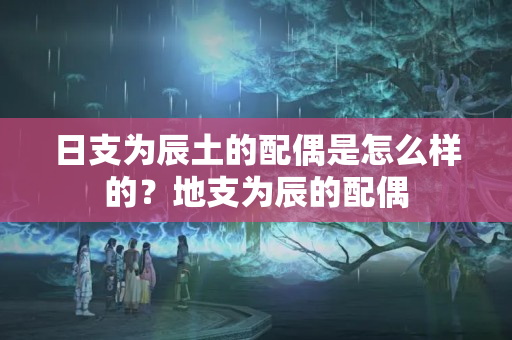 日支为辰土的配偶是怎么样的？地支为辰的配偶