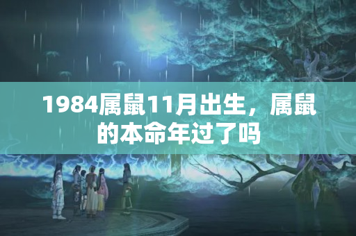 1984属鼠11月出生，属鼠的本命年过了吗