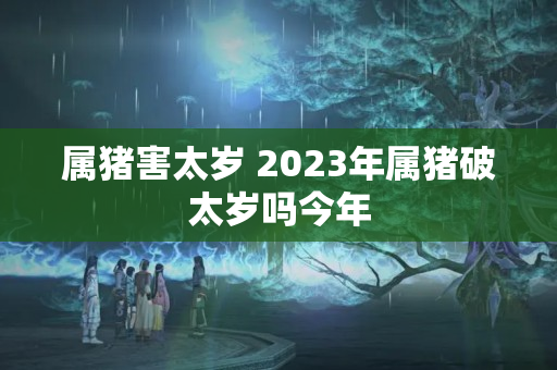 属猪害太岁 2023年属猪破太岁吗今年